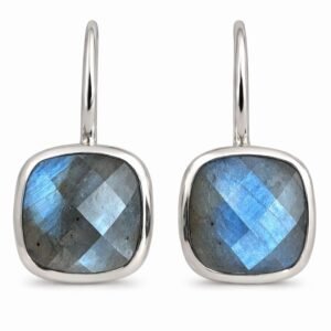 Lebradorite Earring RJRE829A